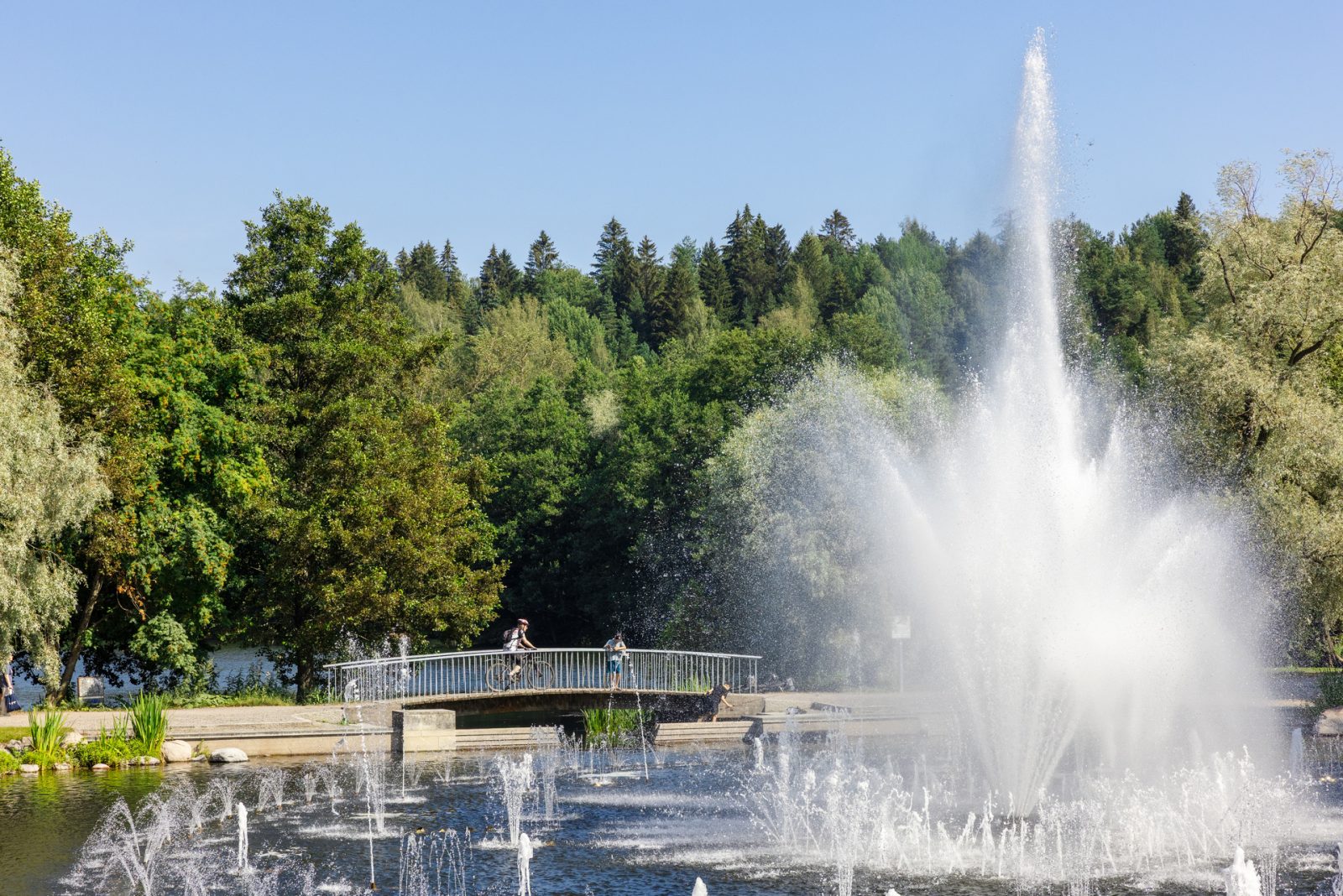 Pikku-Vesijärvenpuistolle jälleen Green Flag Award -palkinto 2026–2027